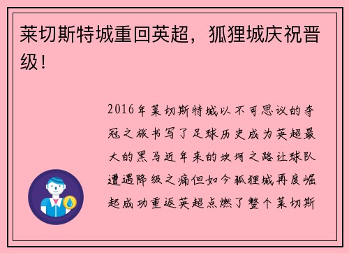 莱切斯特城重回英超，狐狸城庆祝晋级！