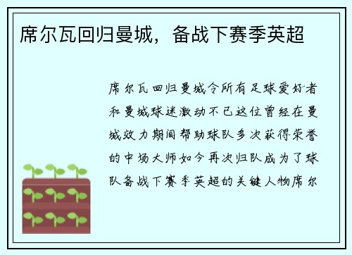 席尔瓦回归曼城，备战下赛季英超